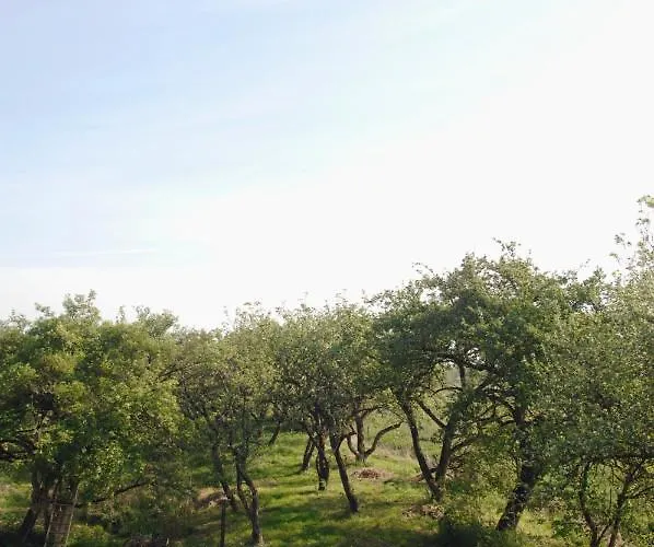 Gartenglueck 公寓 Nordleda